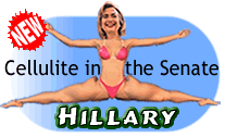 0087 Hillary